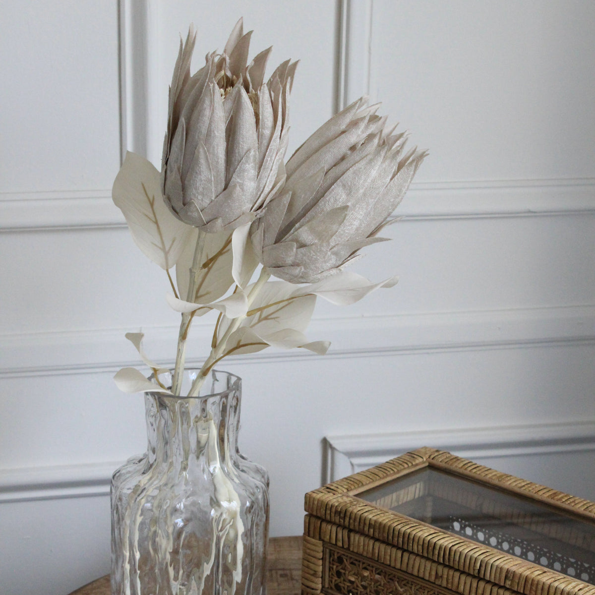 Protea cream