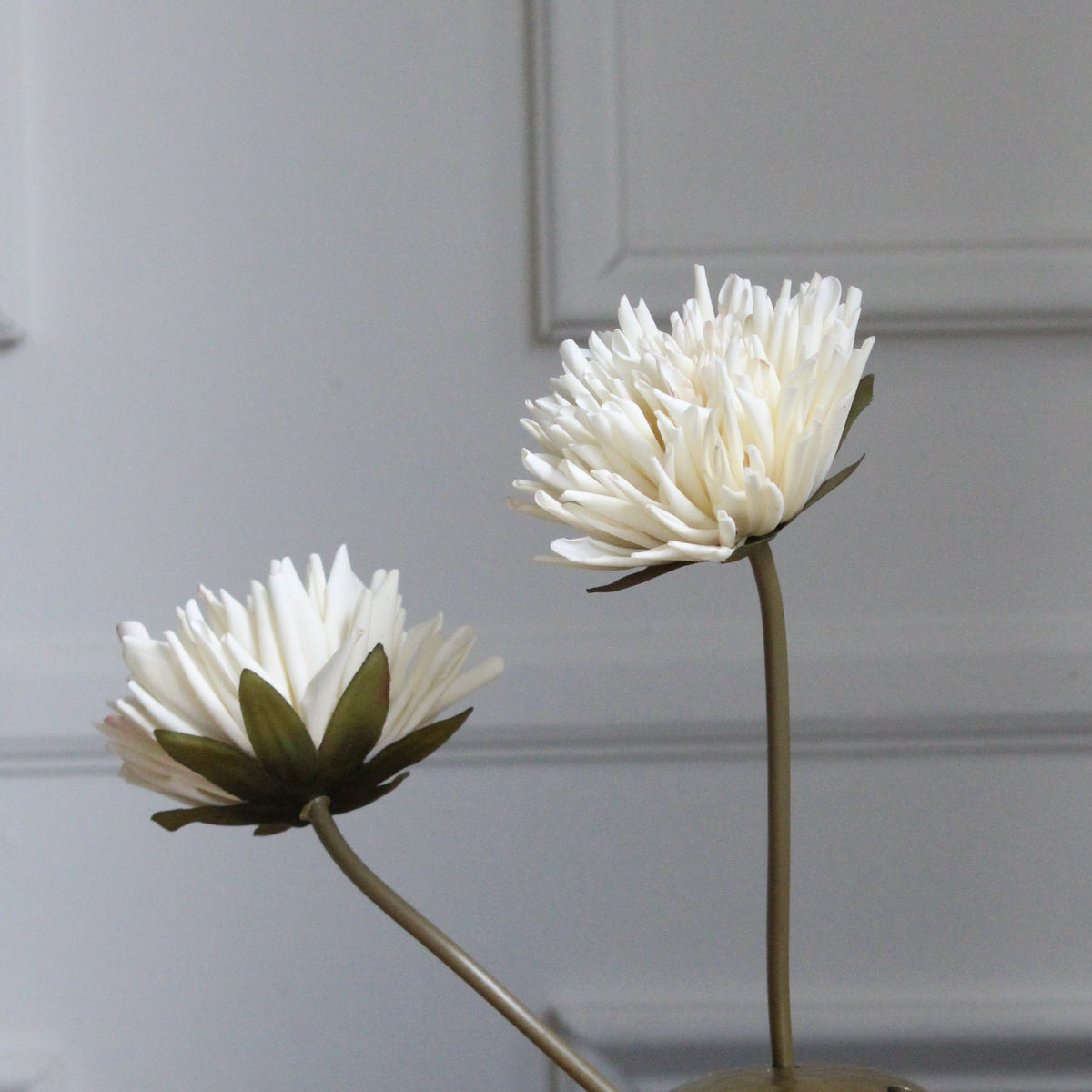 Dahlia ramita