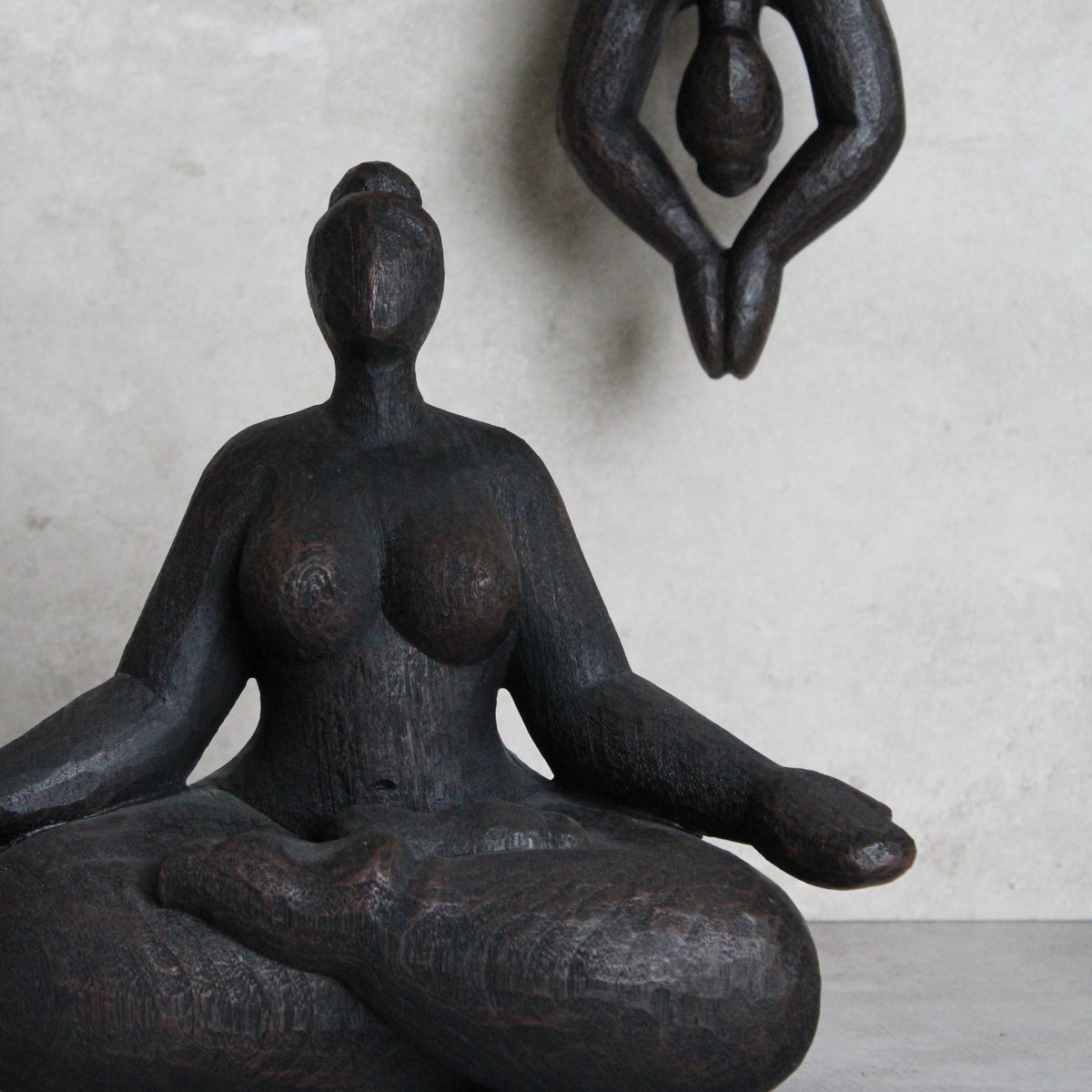 Yogui 2