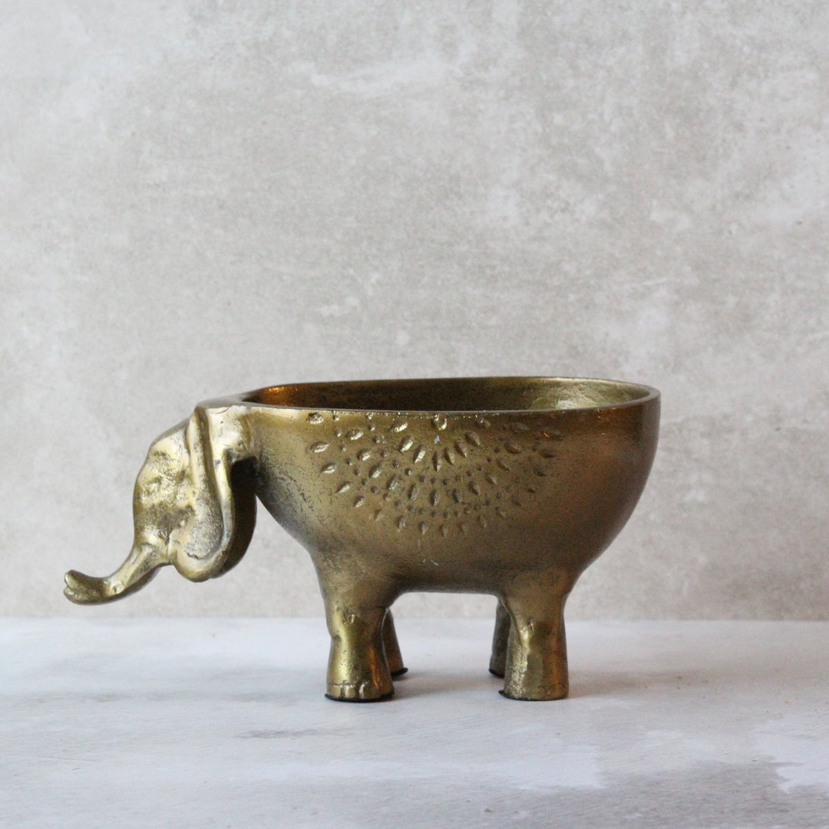 Elefante con bowl