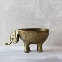 Elefante con bowl