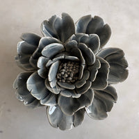 Flor rose grey