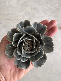 Flor rose grey