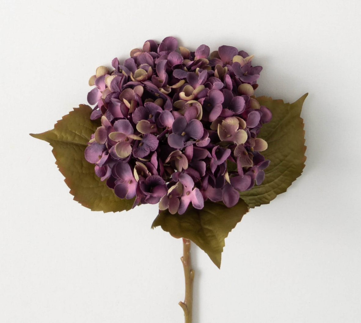 Hortensia morado oscuro