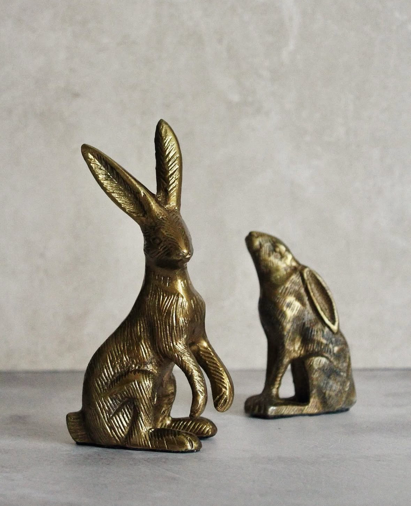 Bunny