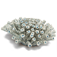 Coral de pared color azul