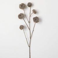 Rama Dried