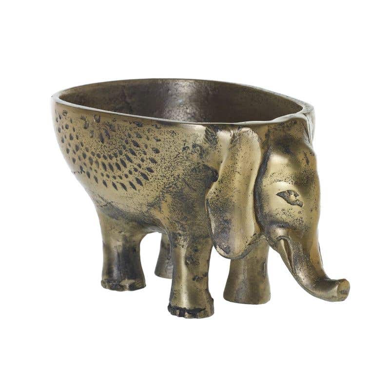 Elefante con bowl