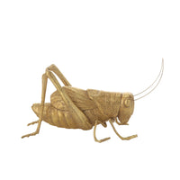 Grillo
