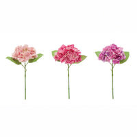 Hortensias